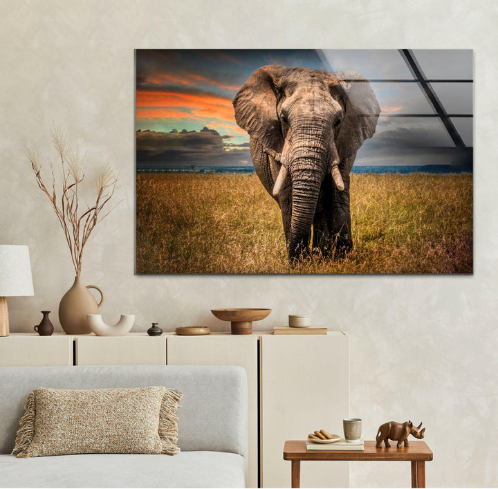 Majestic Elephant Glass Wall Art custom glass pictures, glass art prints