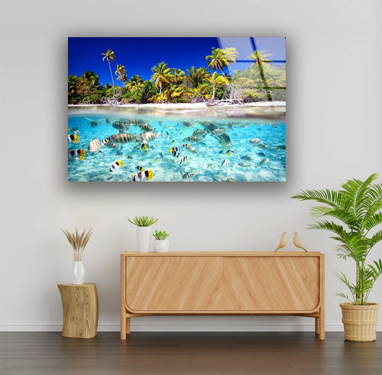 Tropical Fish & Palm Trees Glass Wall Art - MyPhotoStation