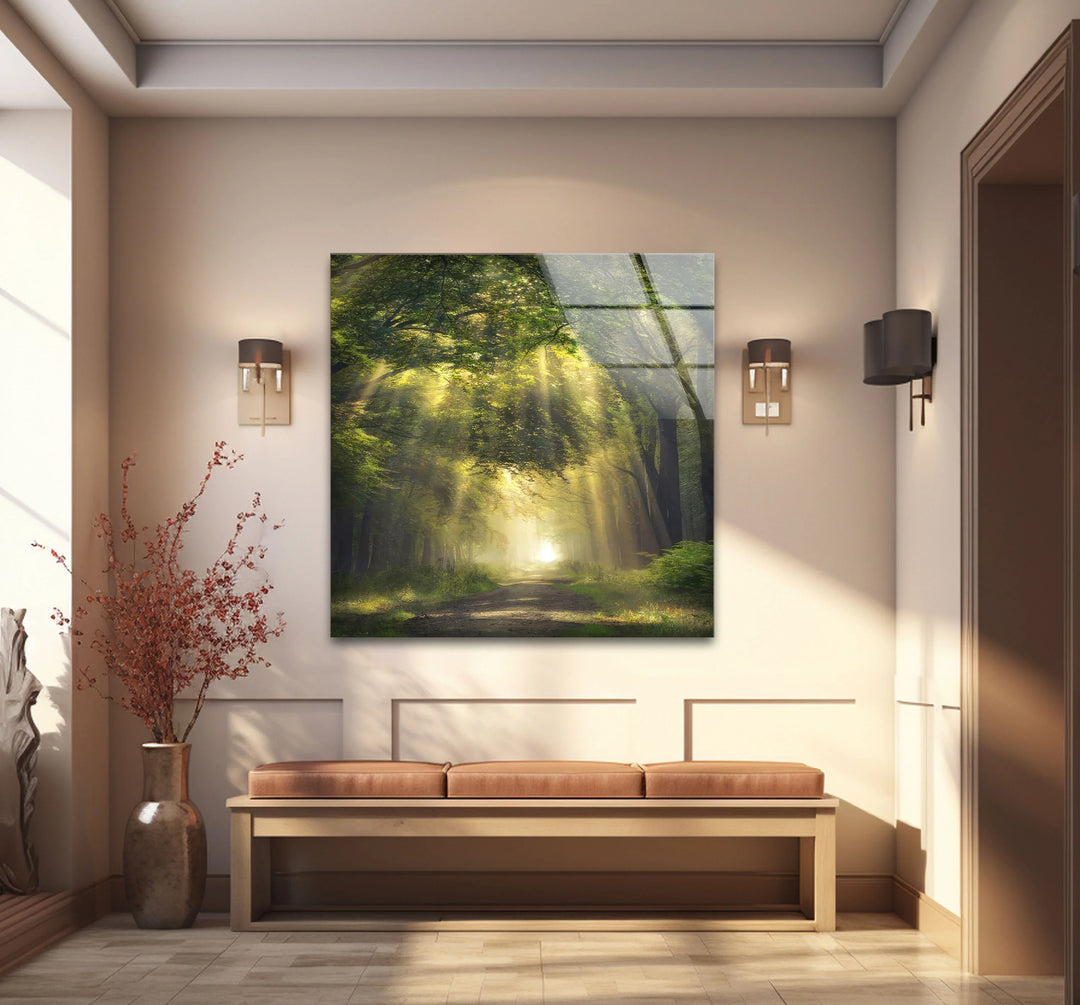 Forest Light Path Glass Wall Art – Serene Green Nature Print for Relaxing Decor - MyPhotoStation