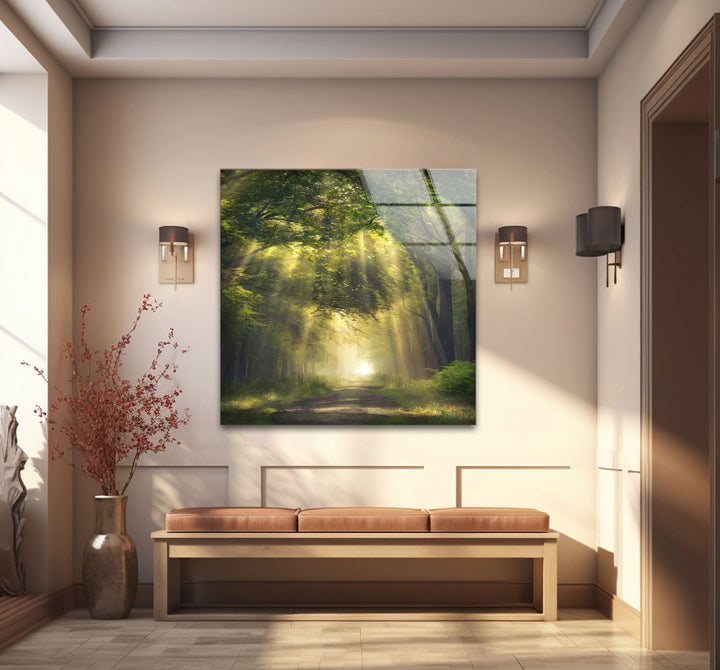 Forest Light Path Glass Wall Art – Serene Green Nature Print for Relaxing Decor - MyPhotoStation