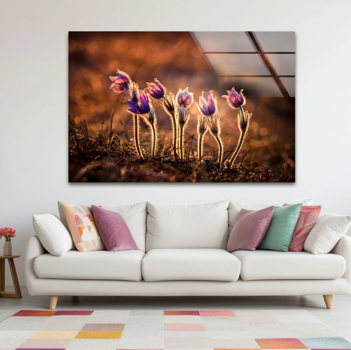 Sunlit Wildflower Wall Art – Purple Spring Bloom Glass Print with Golden Hour Glow for Cozy, Nature-Inspired Interiors - MyPhotoStation
