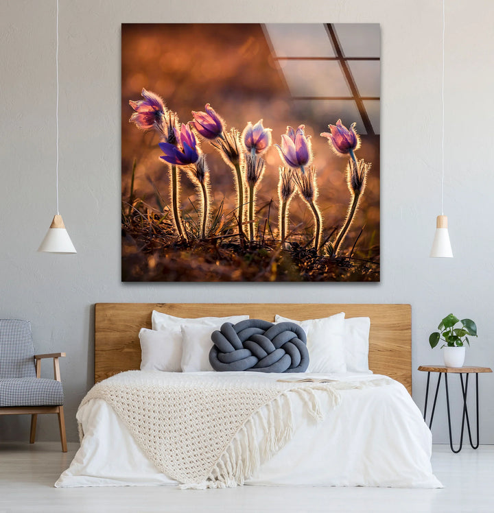 Sunlit Wildflower Wall Art – Purple Spring Bloom Glass Print with Golden Hour Glow for Cozy, Nature-Inspired Interiors - MyPhotoStation
