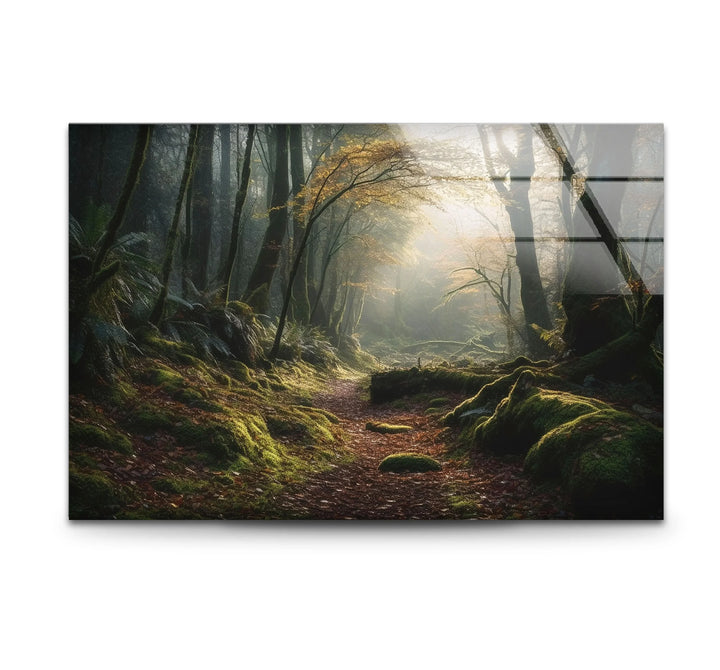 Misty Forest Path Wall Art – Enchanted Nature Glass Print for Tranquil Decor - MyPhotoStation