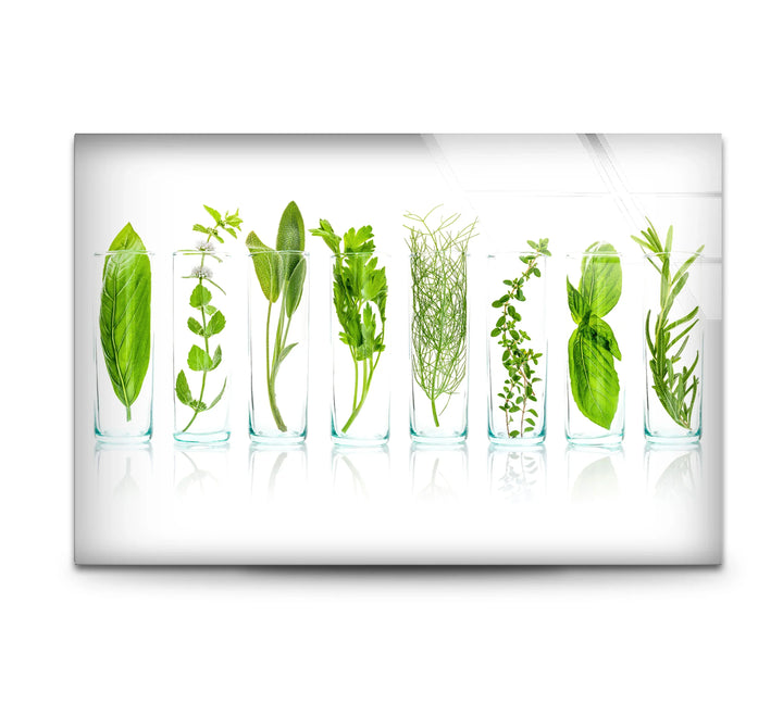 Modern Kitchen Herb Wall Art – Fresh Green Culinary Herbs in Glass Jars Print - MyPhotoStation