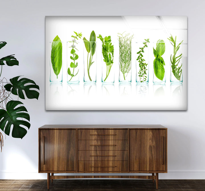 Modern Kitchen Herb Wall Art – Fresh Green Culinary Herbs in Glass Jars Print - MyPhotoStation