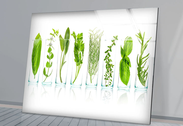 Modern Kitchen Herb Wall Art – Fresh Green Culinary Herbs in Glass Jars Print - MyPhotoStation