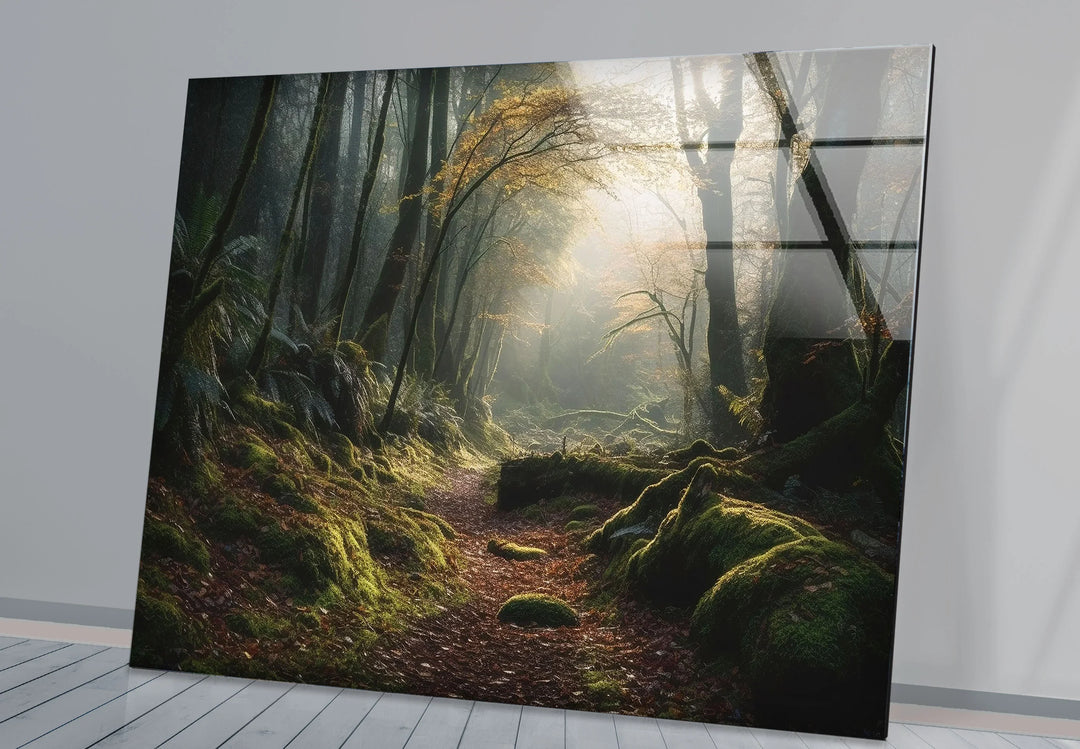 Misty Forest Path Wall Art – Enchanted Nature Glass Print for Tranquil Decor - MyPhotoStation