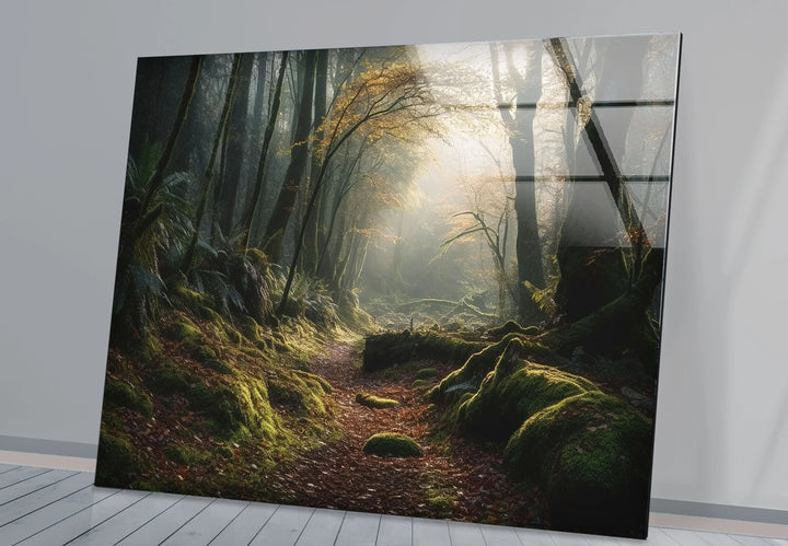 Misty Forest Path Wall Art – Enchanted Nature Glass Print for Tranquil Decor - MyPhotoStation