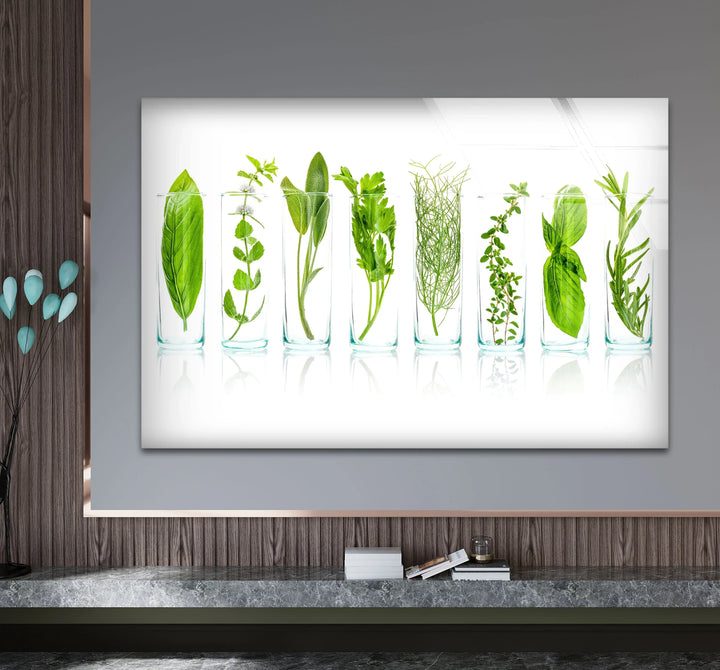 Modern Kitchen Herb Wall Art – Fresh Green Culinary Herbs in Glass Jars Print - MyPhotoStation