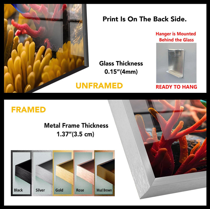 Tropical Fish Glass Wall Art