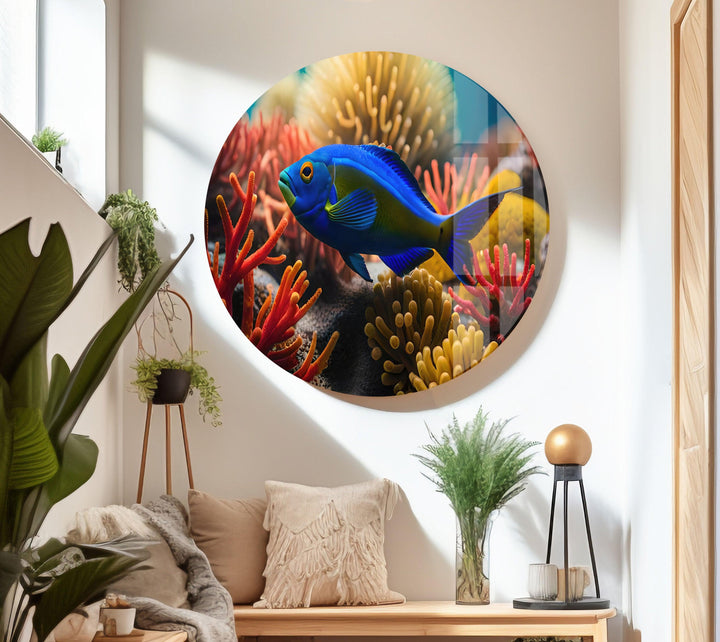 Tropical Fish Glass Wall Art glass image printing, glass prints from photos
