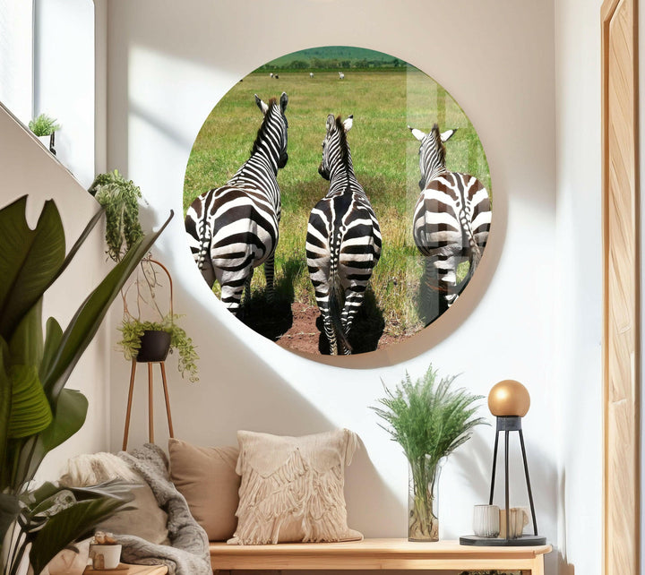 Safari Zebra Glass Wall Art print picture on glass, Tempered Glass Wall Art