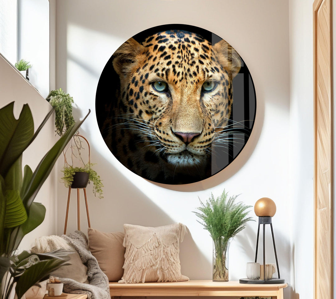 Leopard Portrait Glass Wall Art glass photo prints, glass picture prints