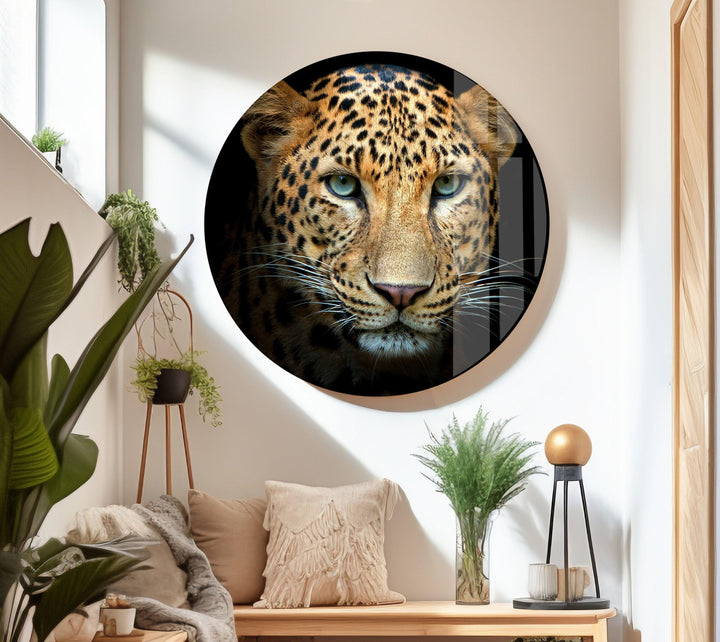 Leopard Portrait Glass Wall Art glass photo prints, glass picture prints