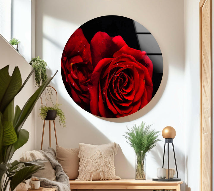 Red Rose Flower On Black Glass Wall Art, art glass wall art, glass wall art pictures
