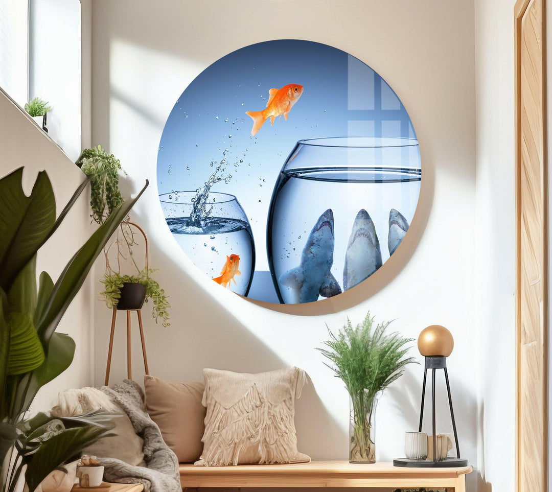 Goldfish Shark Glass Wall Art picture on glass wall art, photos printed on glass