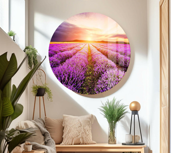 Lavender Field Sunrise Glass Wall Art glass photo prints, glass picture prints