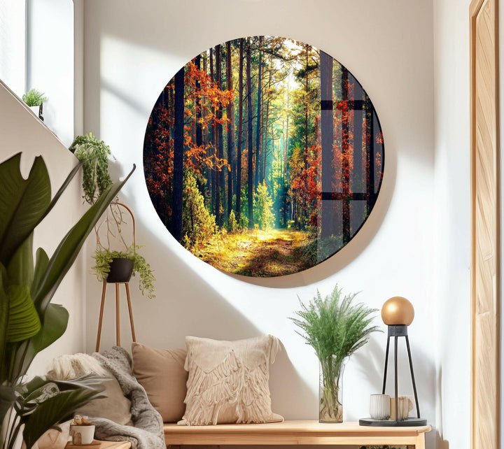 Nature Green Forest Glass Wall Art glass photo prints, glass picture prints