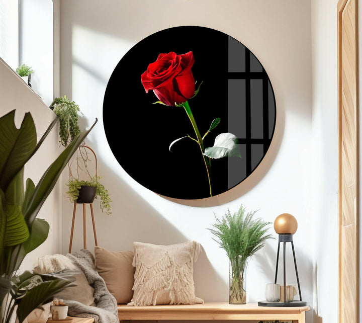 Single Red Rose On Black Glass Wall Art, art glass wall art, glass wall art pictures