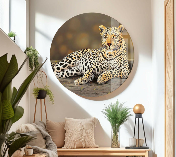 Laying Cheetah Glass Wall Art Glass Printing Wall Art, Print photos on glass