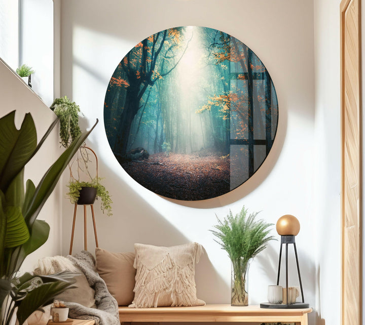 A Foggy Forest Bathed in Sunlight – A Unique Glass Landscape Print
