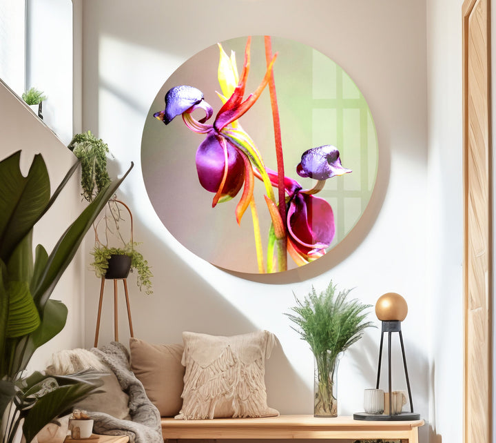 Flying Duck Orchid Glass Wall Art, glass photo prints, glass picture prints