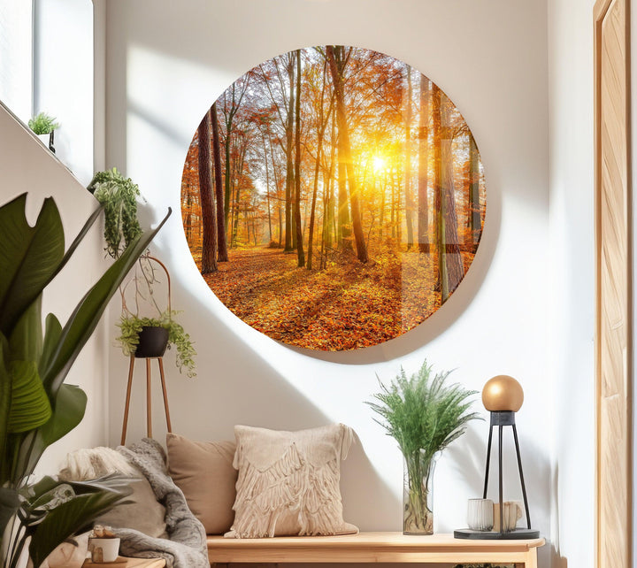 Sunset in an autumn forest, creating a cozy and inviting atmosphere on glass wall art.
