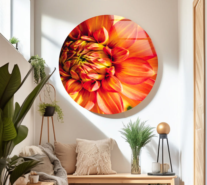 Closeup Vivid Red Flower Glass Wall Art, art glass wall art, glass wall art pictures