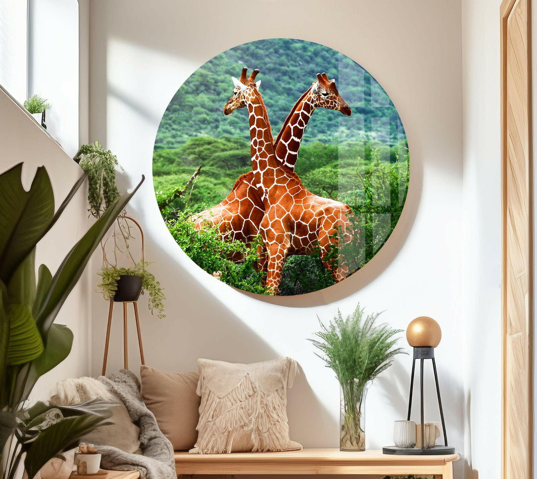 Giraffe in Forest Glass Wall Art print picture on glass, Tempered Glass Wall Art