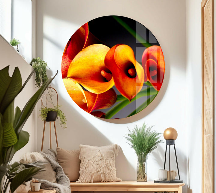 Orange Calla Lilies Glass Wall Art, glass photo prints, glass picture prints