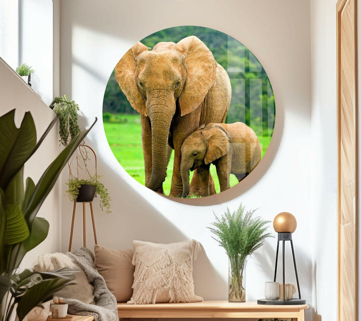 Elephants in Nature Glass Wall Art large glass photo prints, glass wall photos