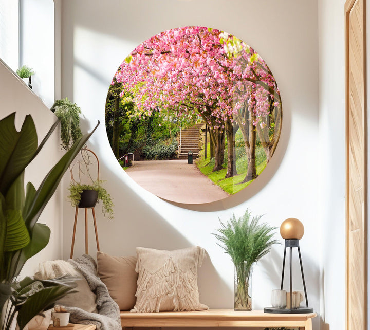 Vibrant Cherry Blossoms Over a Peaceful Pathway – Elegant Glass Wall Art
