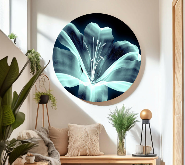 Xray Image Of a Flower Glass Wall Art, glass photo prints, glass picture prints