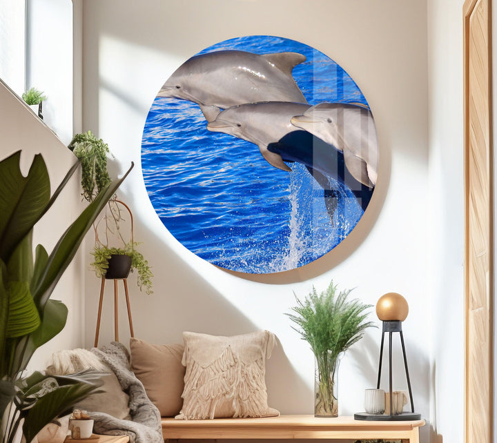 Bottlenose Dolphin Glass Wall Art picture on glass wall art, photos printed on glass