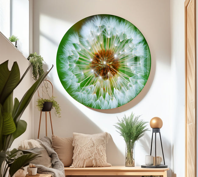 Dandelion Flower Tempered Glass Wall Art