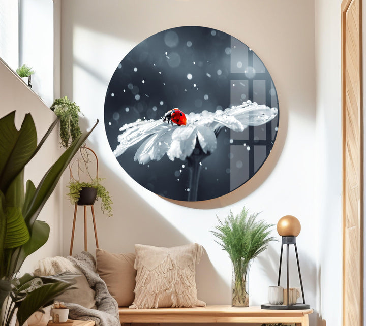 Ladybug in Drops Glass Wall Art             glass wall decor, glass wall art decor