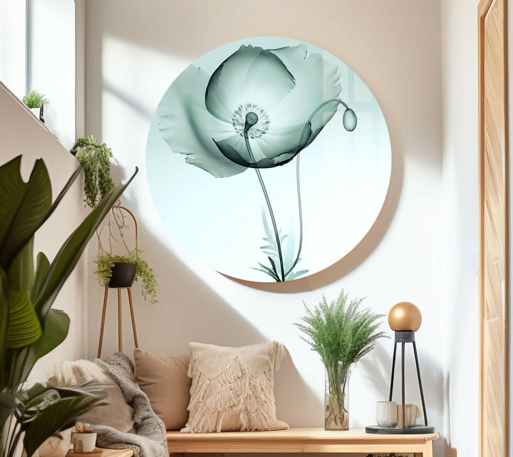 X-ray Image Of A Poppy Glass Wall Art, custom glass pictures, glass art prints