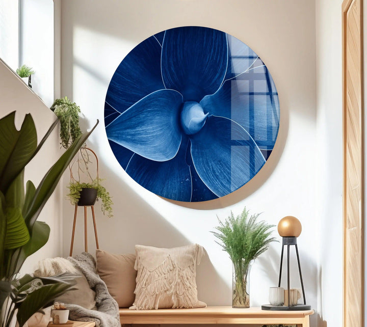 Blue Agave Closeup Glass Wall Art, custom glass pictures, glass art prints