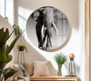 Black White Elephant Tempered Glass Wall Art