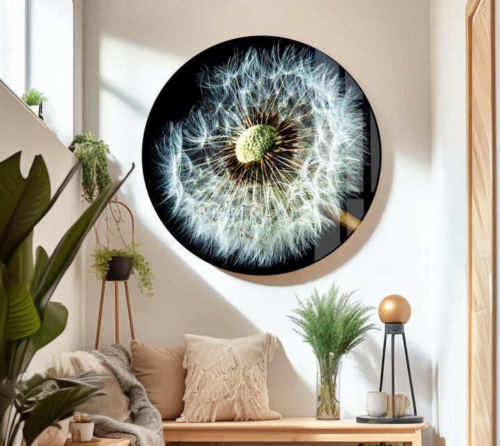Dandelion Seeds Closeup Glass Wall Art, custom glass pictures, glass art prints