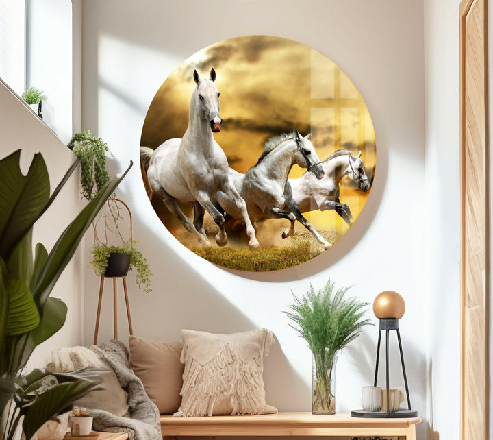 Galloping Horse Glass Wall Art print picture on glass, Tempered Glass Wall Art