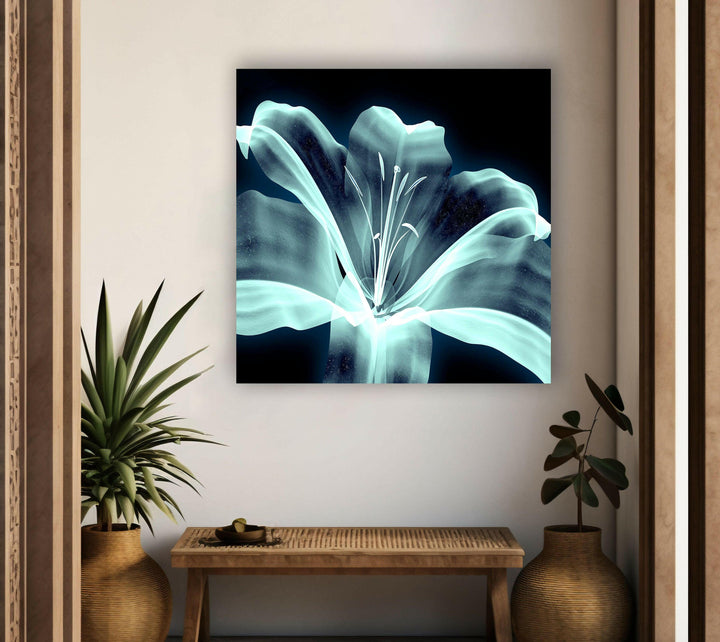 Xray Image Of a Flower Glass Wall Art, photo print on glass, prints on glass wall art