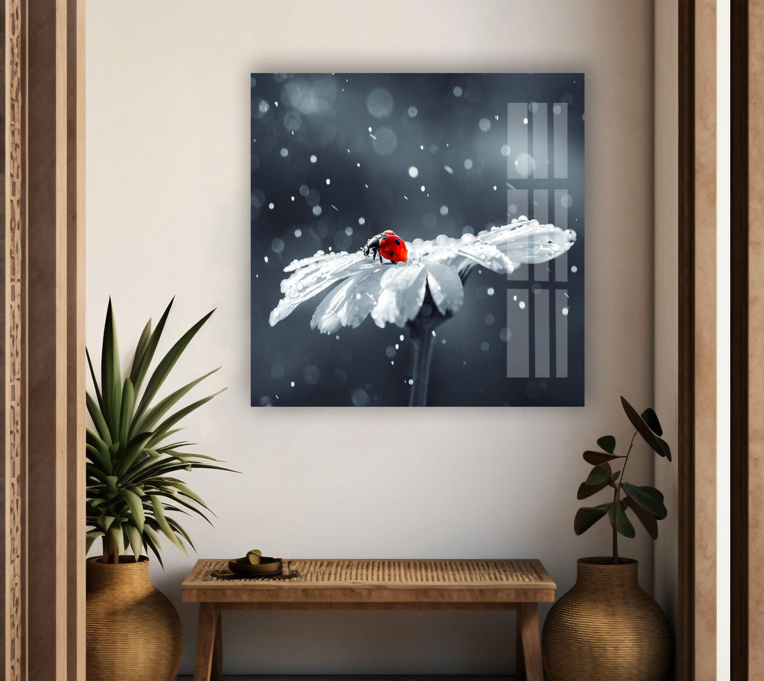 Ladybug in Drops Glass Wall Art print picture on glass, Tempered Glass Wall Art