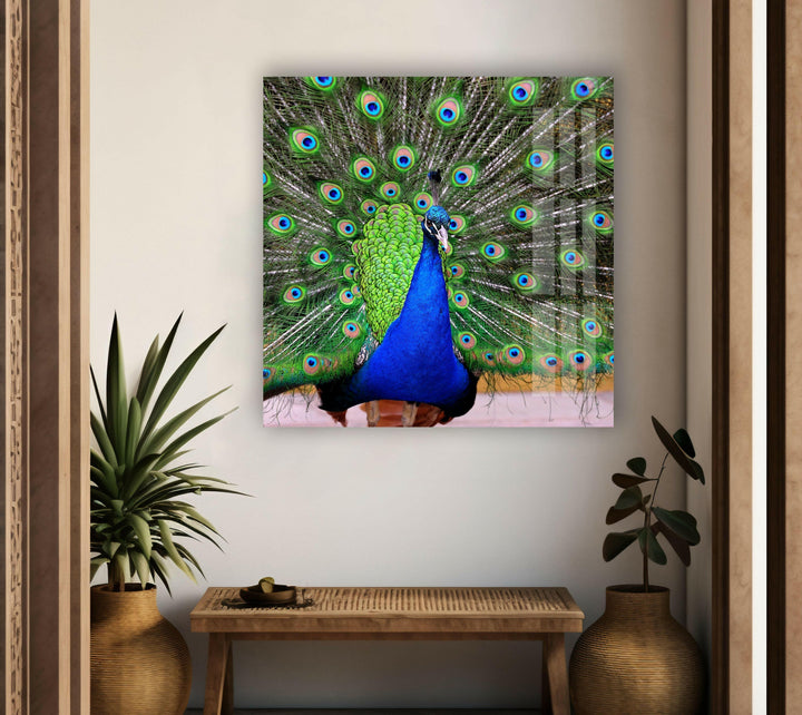 Peacock Feather Art Glass Wall Art glass photo prints, glass picture prints