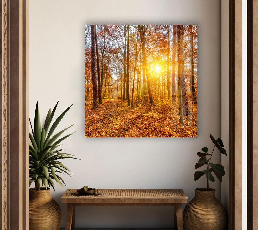 Vibrant fall landscape with a sunlit path covered in red and orange leaves.
