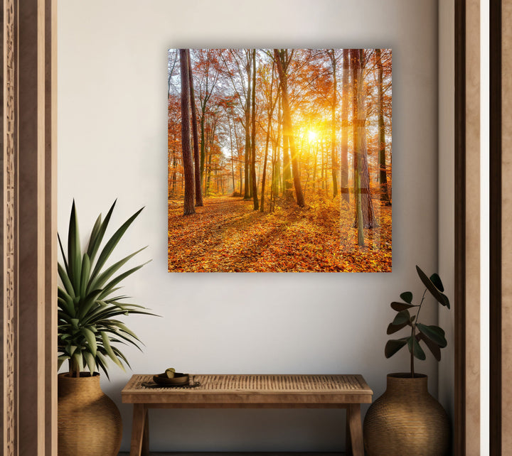 Vibrant fall landscape with a sunlit path covered in red and orange leaves.
