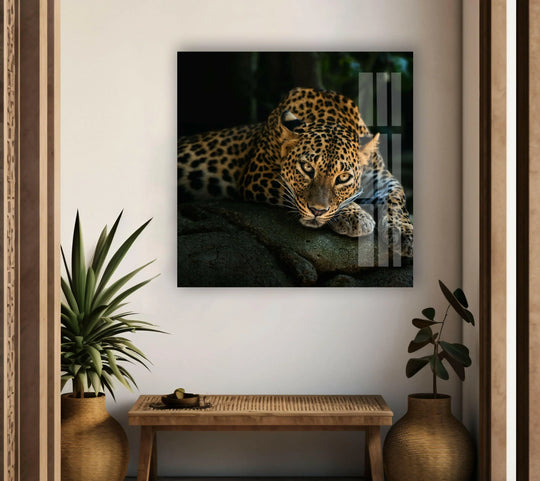 A fierce leopard rests on a rock, showcasing organic forms within this glass wall art.