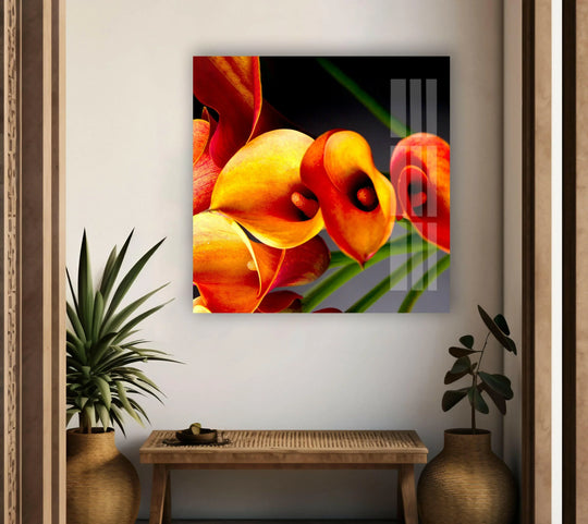 Still orange calla lilies glass wall art captures a moment of quiet beauty, adding vibrant home decor.