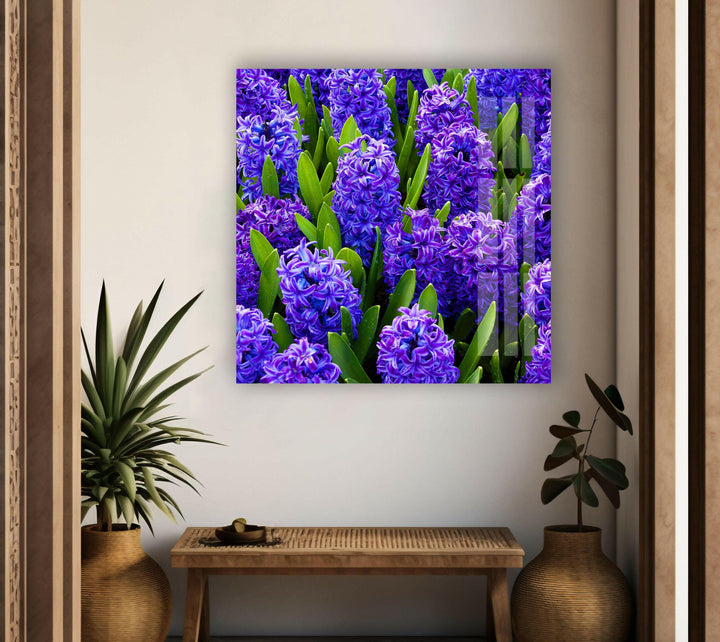 Hyacinth Flower in Garden Glass Wall Art glass image printing, glass prints from photos