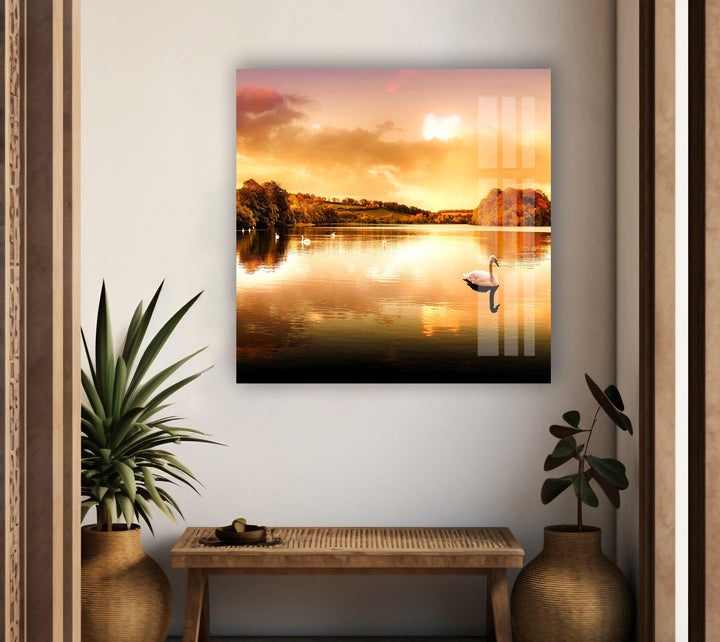 Swan Gliding Across Sunset Waters – A Mesmerizing Wall Art Print
